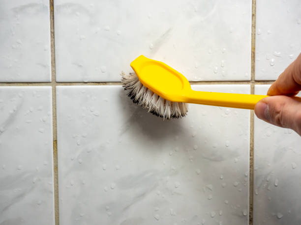 Best Mold Removal Company Near Me  in Bokeelia, FL