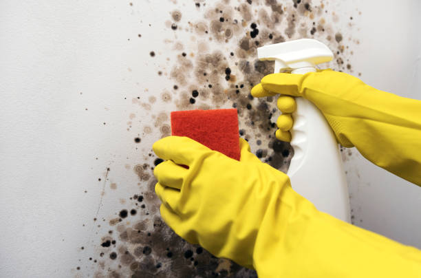 Water Damage Restoration in Bokeelia, FL